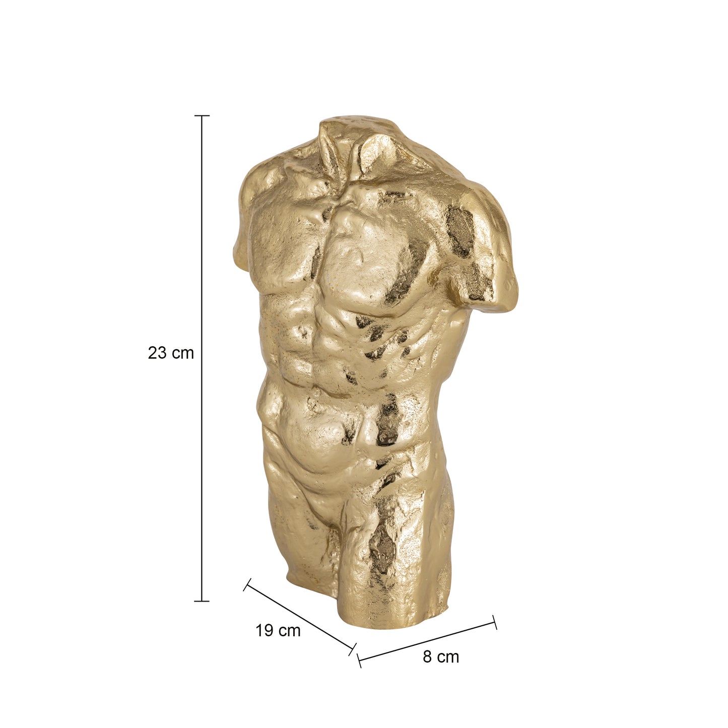 Apollo Male Decorative Bust Gold Finish